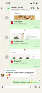 Recenzie client WhatsApp